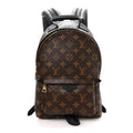 Louis Vuitton Monogram Palm Springs Backpack PM