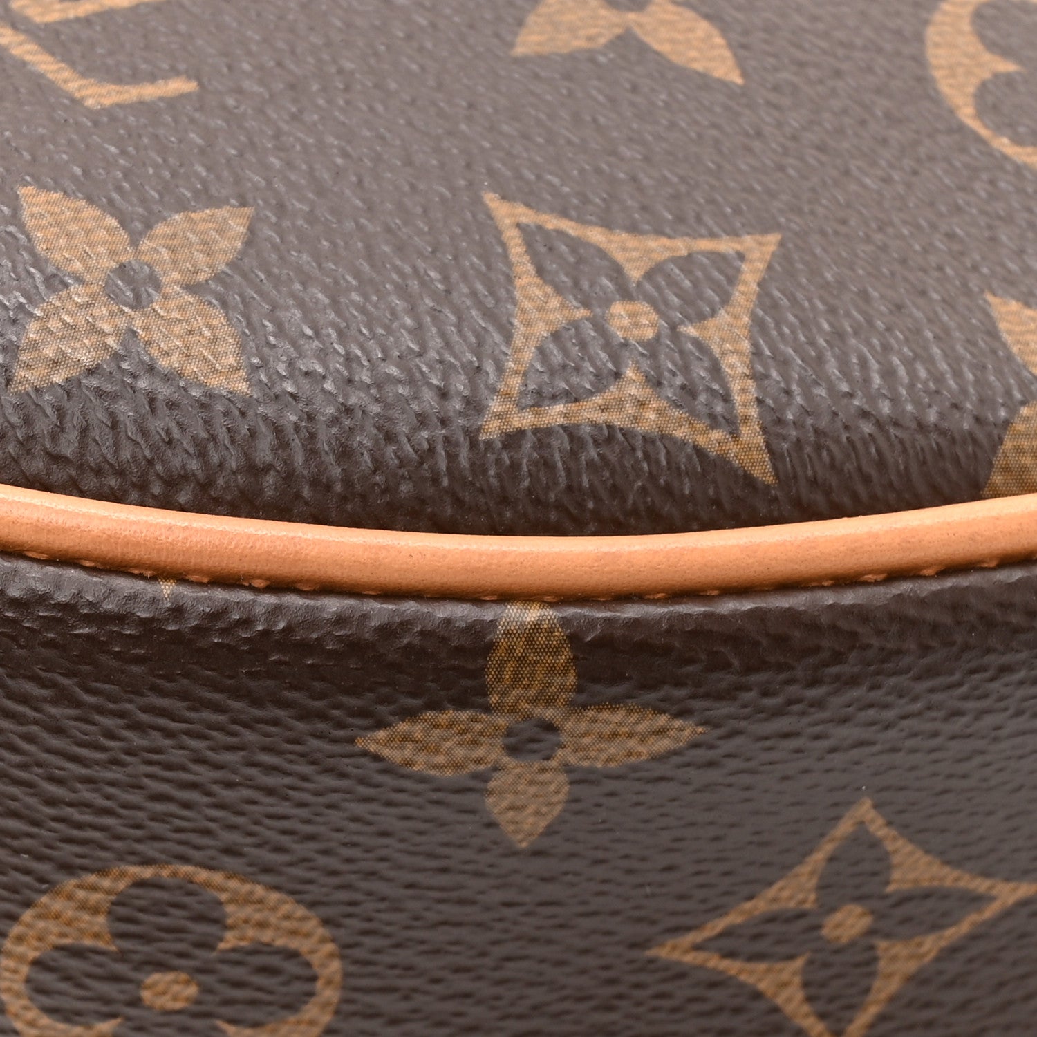Louis Vuitton Monogram Loop