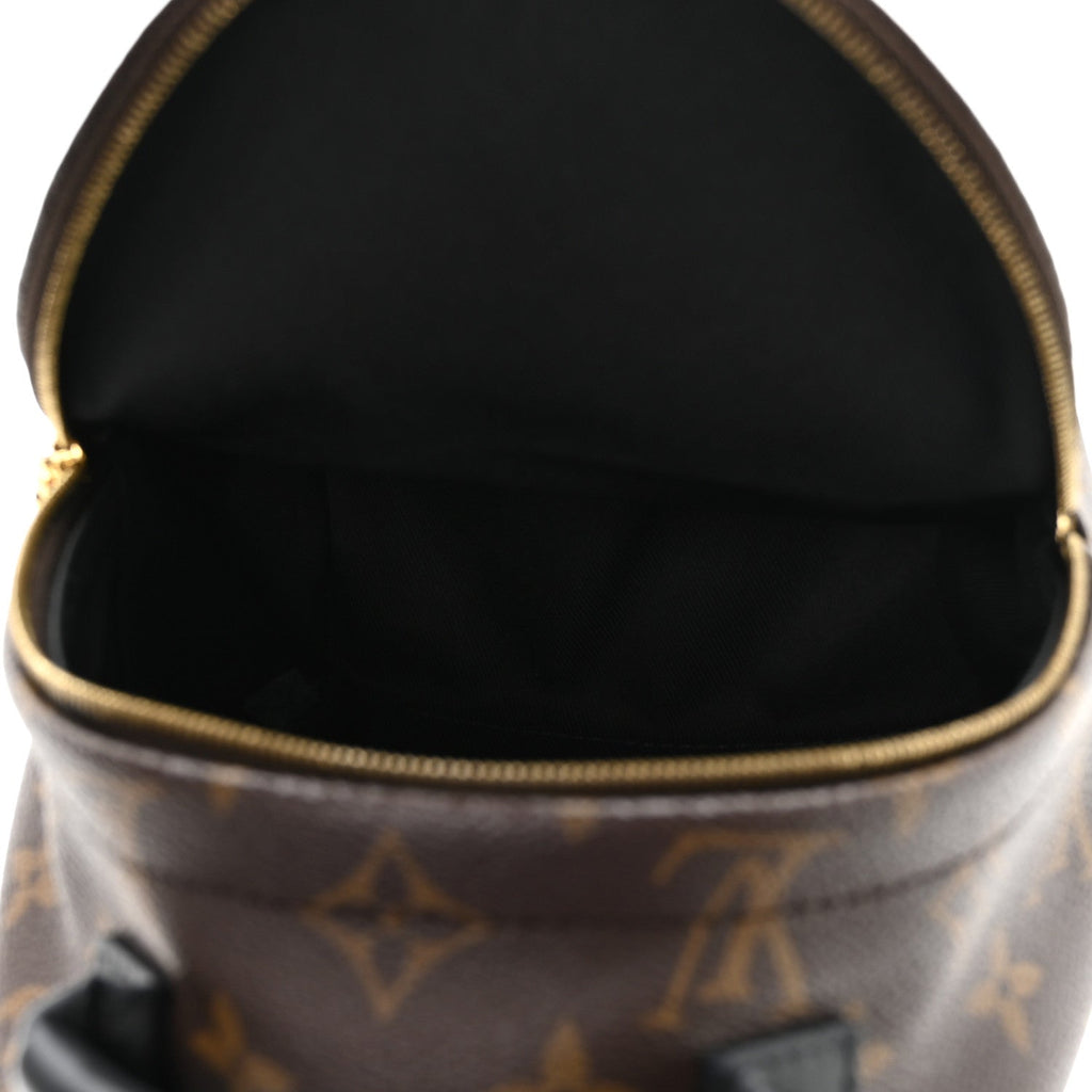 Louis Vuitton Monogram Palm Springs Backpack Mini
