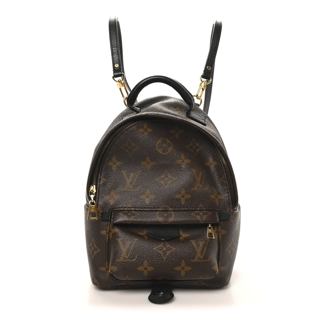 Louis Vuitton Monogram Palm Springs Backpack Mini