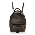 Louis Vuitton Monogram Palm Springs Backpack Mini