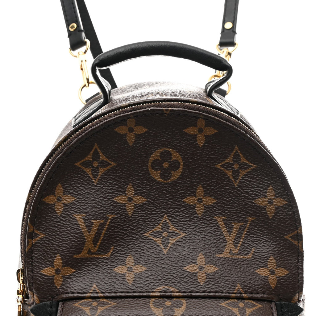 Louis Vuitton Monogram Palm Springs Backpack Mini