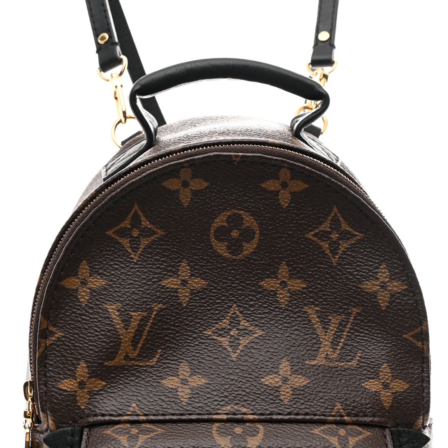 Louis Vuitton Monogram Palm Springs Backpack Mini