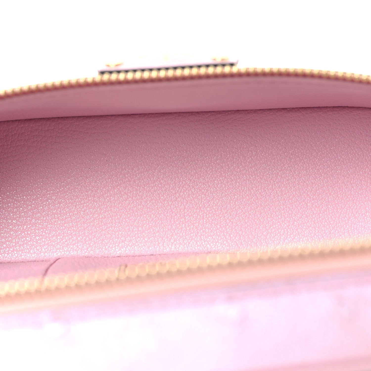 Louis Vuitton Ostrich Vanity Chain Pouch Pink