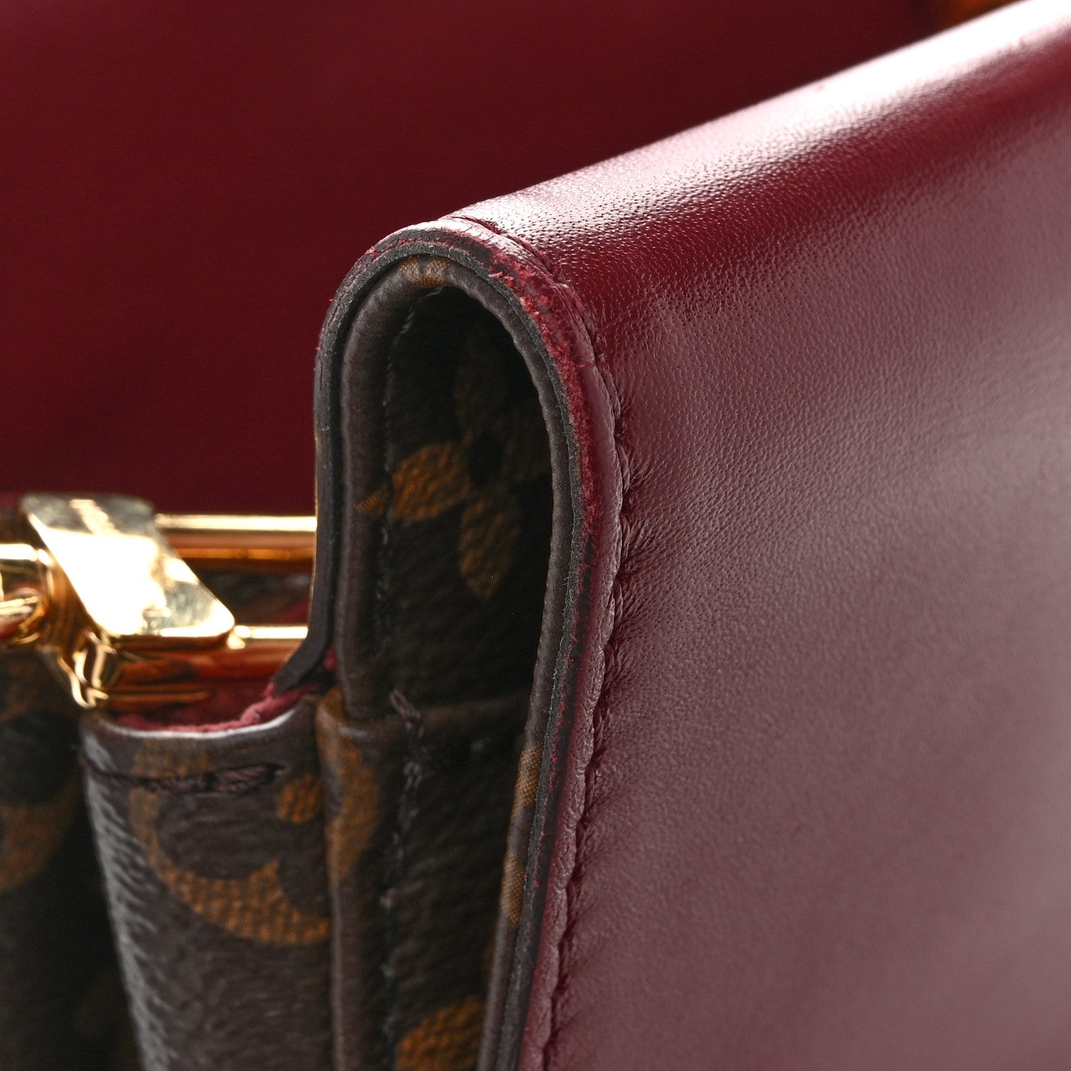 Louis Vuitton Monogram Venus Raisin