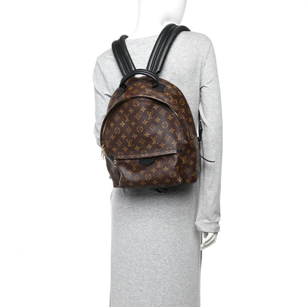 Louis Vuitton Monogram Palm Springs Backpack MM
