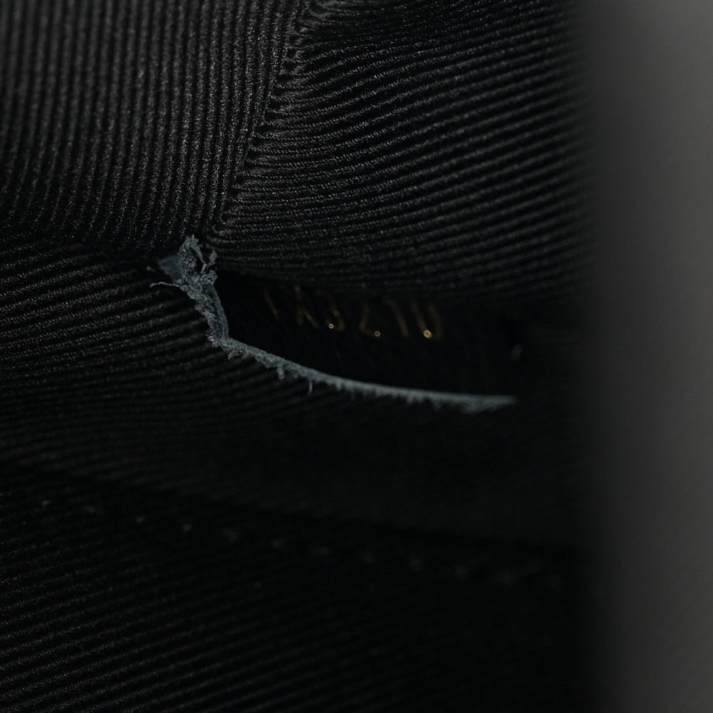 Louis Vuitton Reverse Monogram Palm Springs Backpack Mini