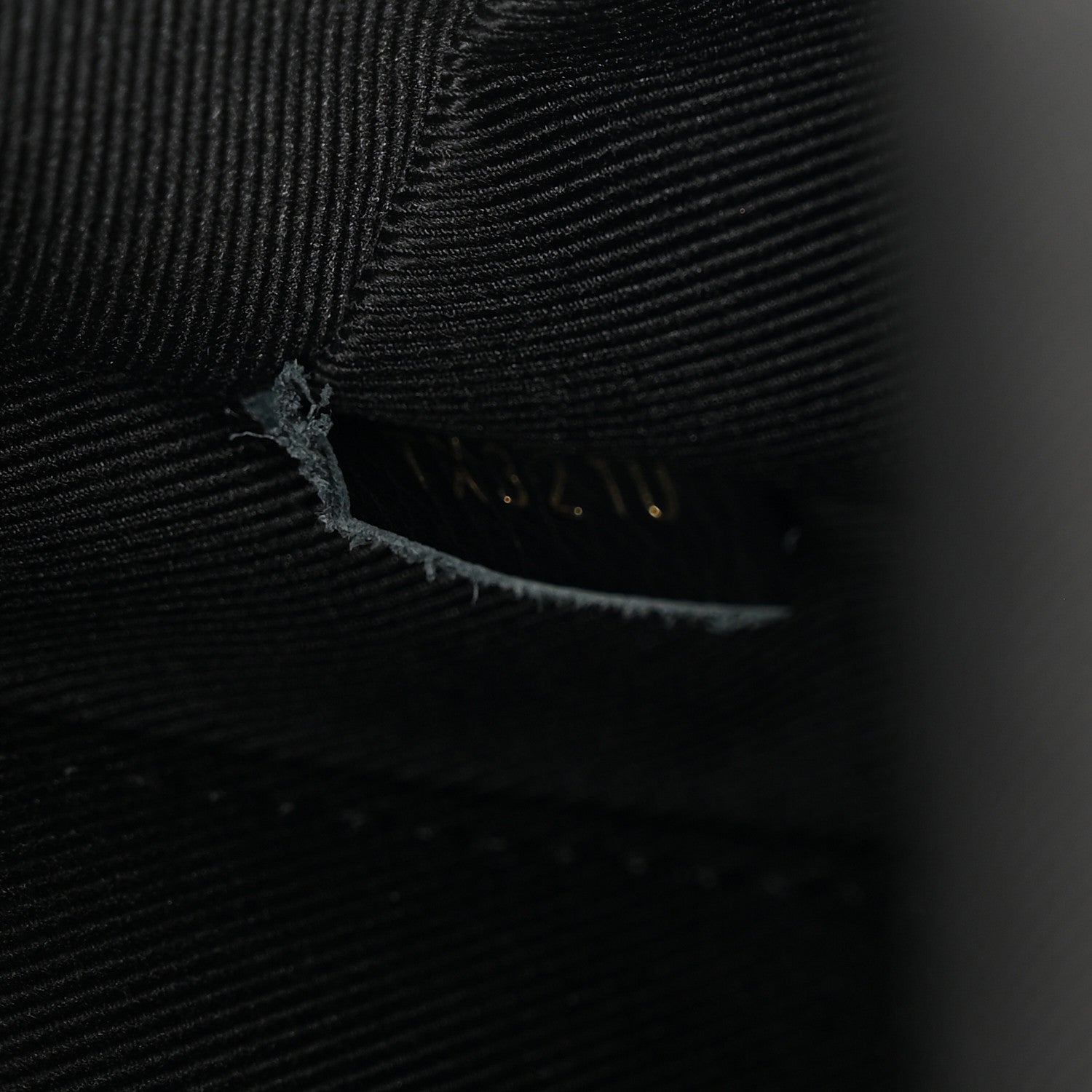 Louis Vuitton Reverse Monogram Palm Springs Backpack Mini