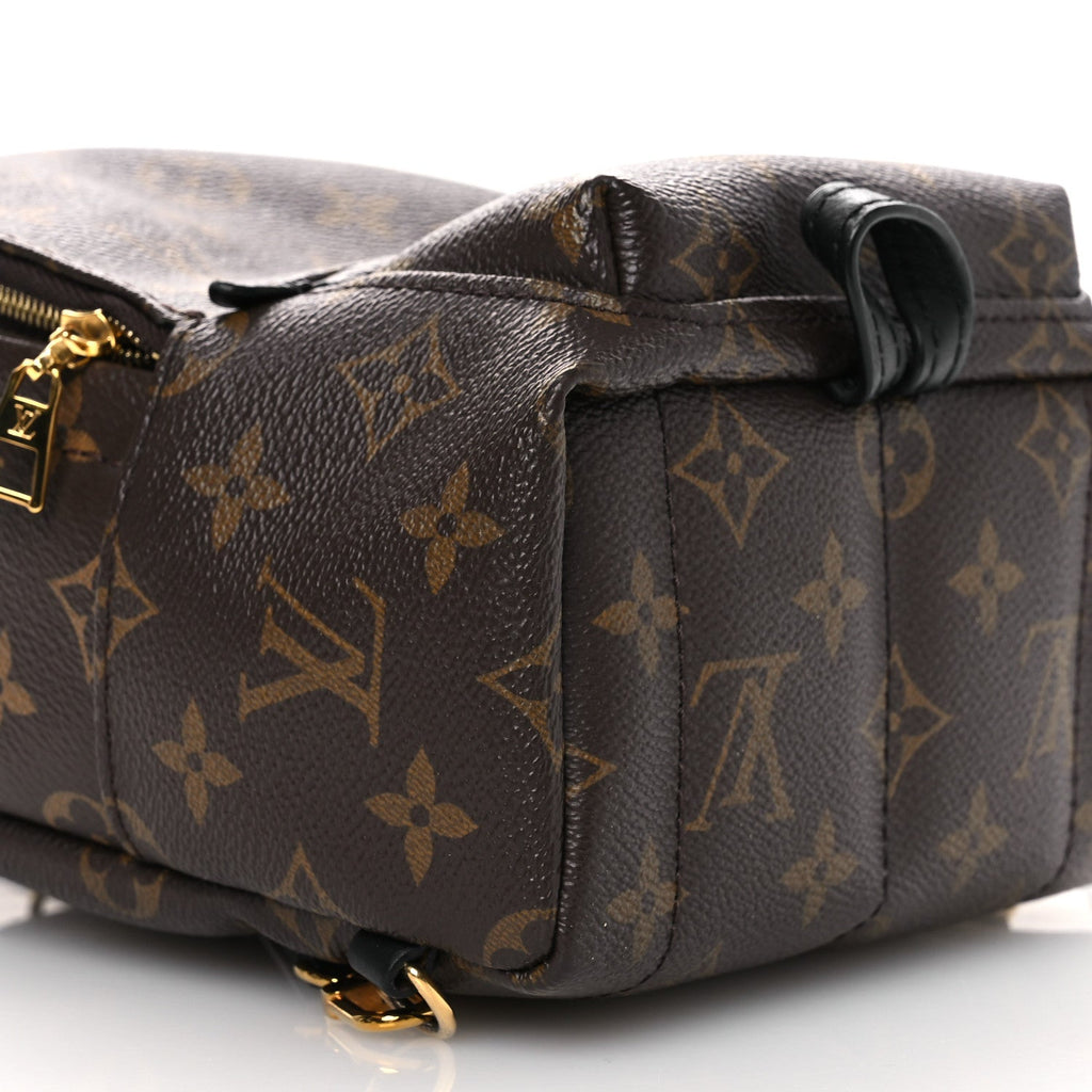 Louis Vuitton Monogram Palm Springs Backpack Mini