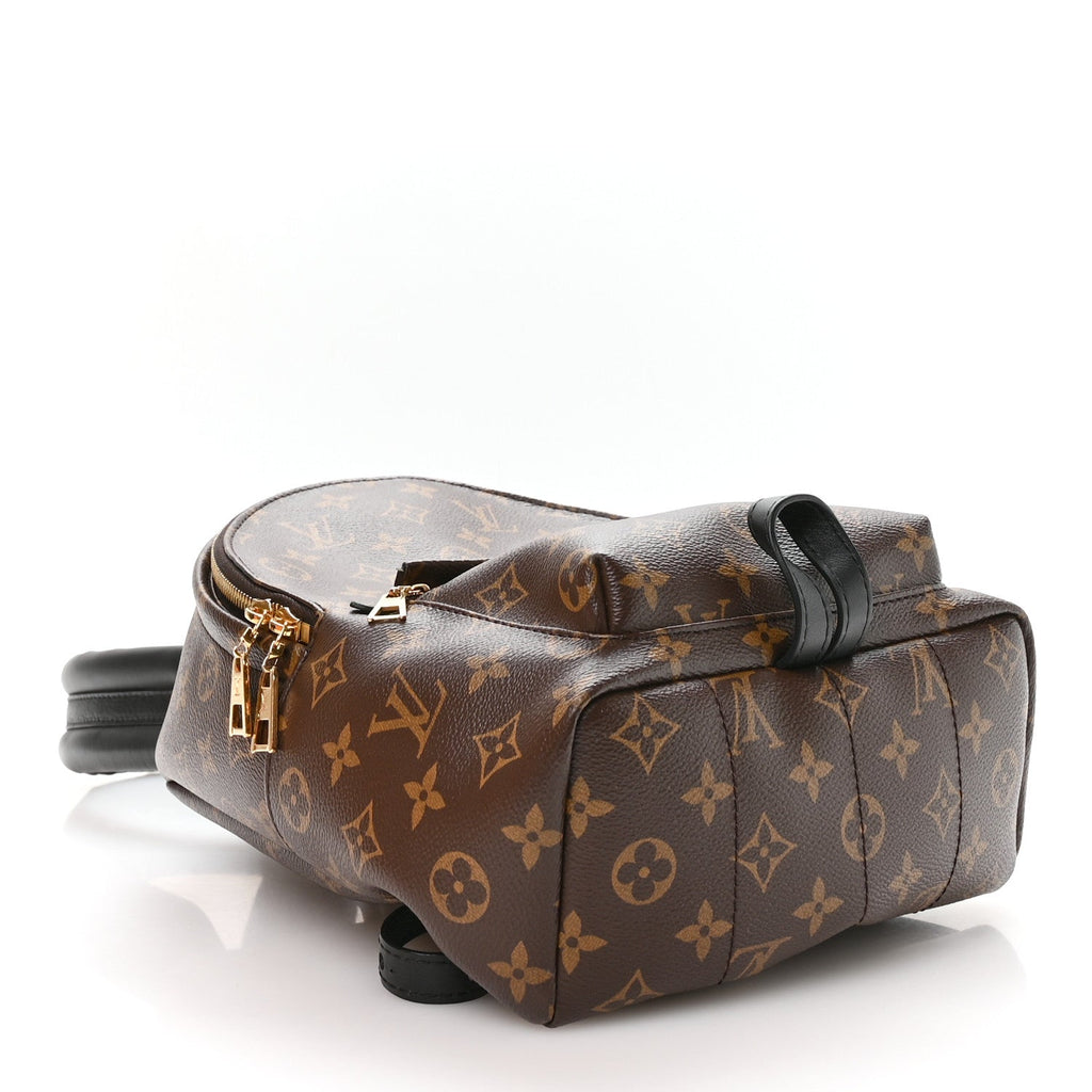 Louis Vuitton Monogram Palm Springs Backpack PM