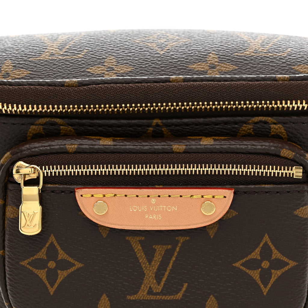 Louis Vuitton Monogram Mini Bumbag