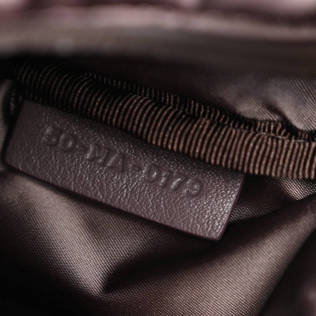 Christian Dior Nylon Saddle Belt Bag Bordeaux
