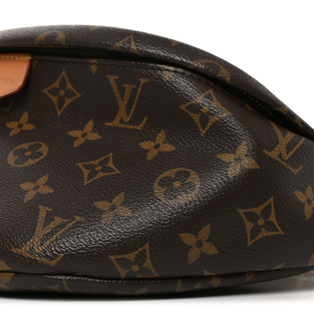 Louis Vuitton Monogram Bumbag
