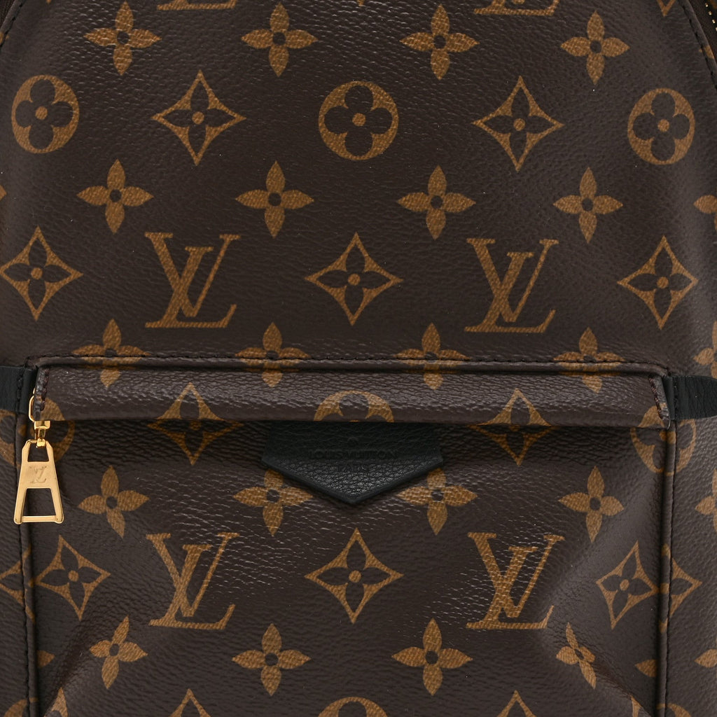 Louis Vuitton Monogram Palm Springs Backpack PM
