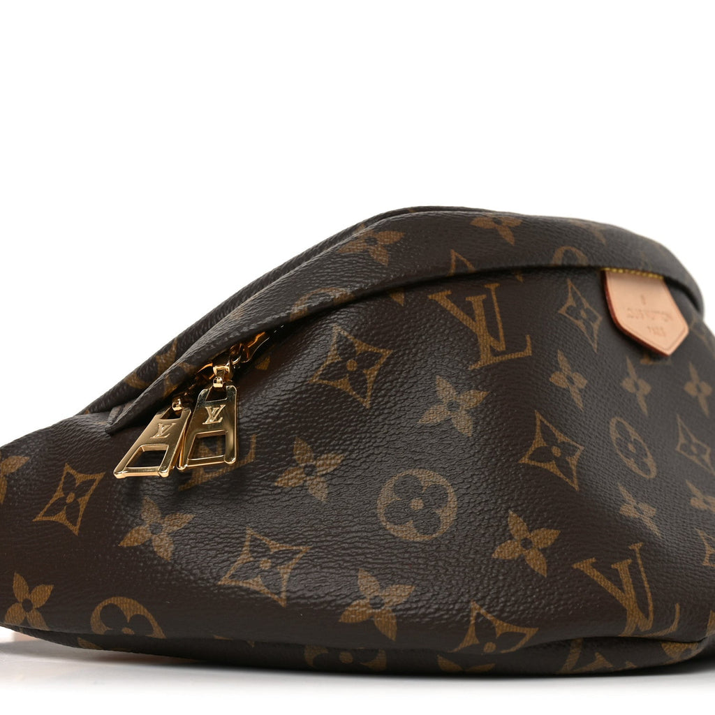 Louis Vuitton Monogram Bumbag