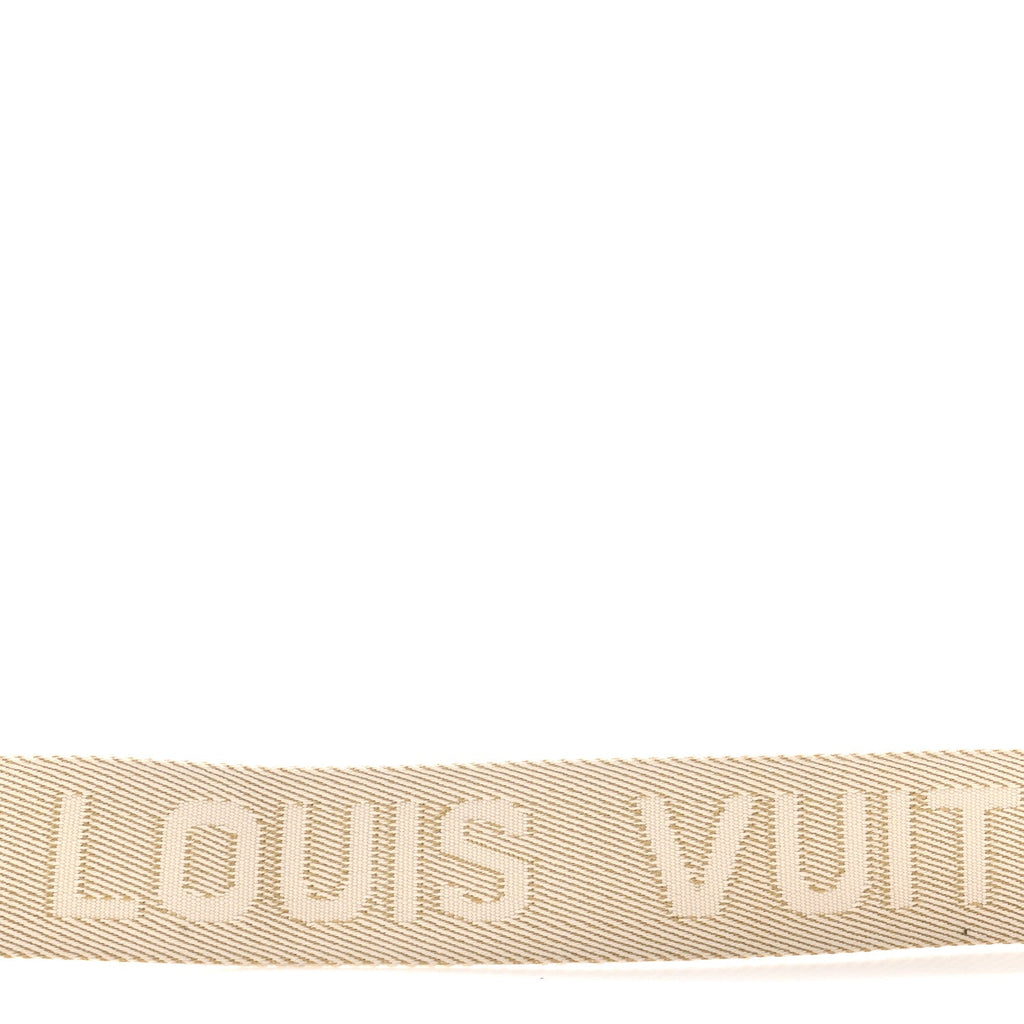 Louis Vuitton Nylon Coussin Shoulder Strap Beige