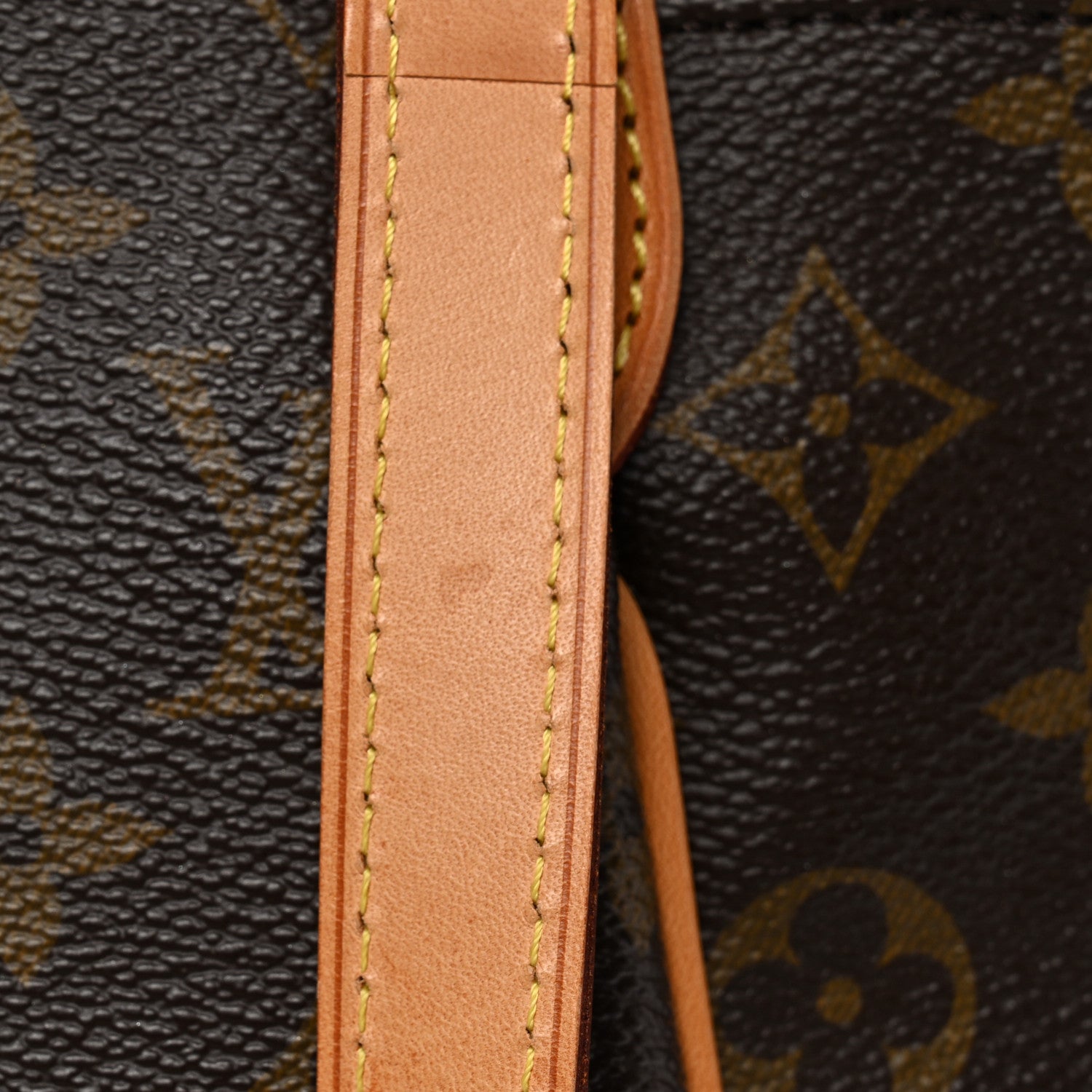 Louis Vuitton Monogram Totally MM