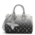 Louis Vuitton Nylon Monogram Gradient LV Snow Speedy Bandouliere 25 Frost