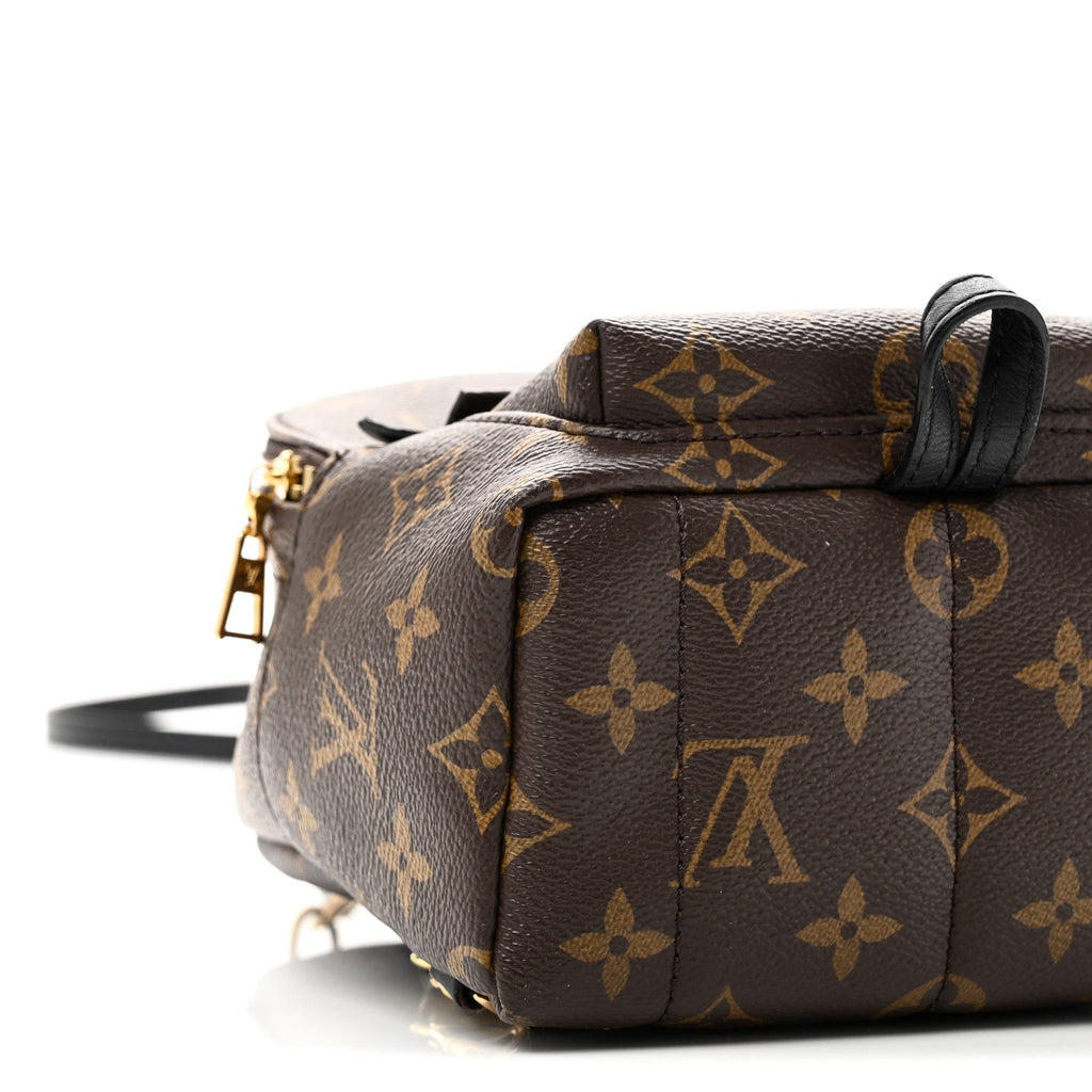 Louis Vuitton Monogram Palm Springs Backpack Mini