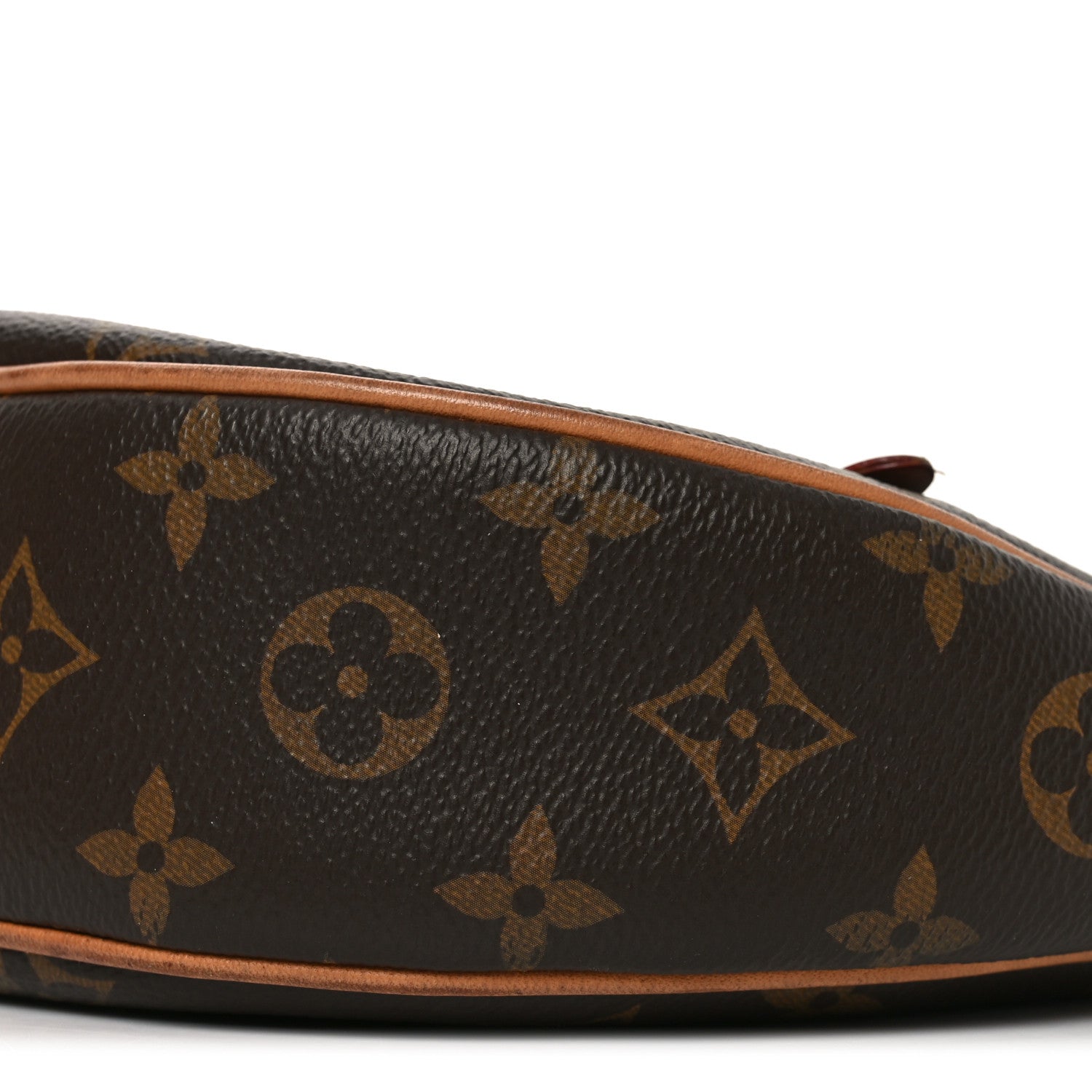 Louis Vuitton Monogram Loop