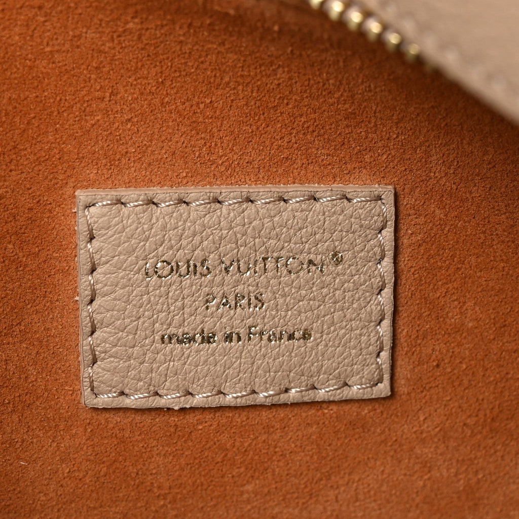 Louis Vuitton Calfskin Low Key Cookie MM Walnut