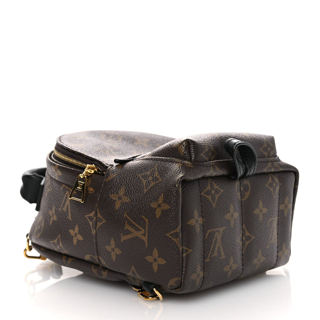 Louis Vuitton Monogram Palm Springs Backpack Mini