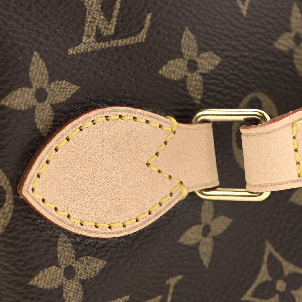 Louis Vuitton Monogram Nice BB