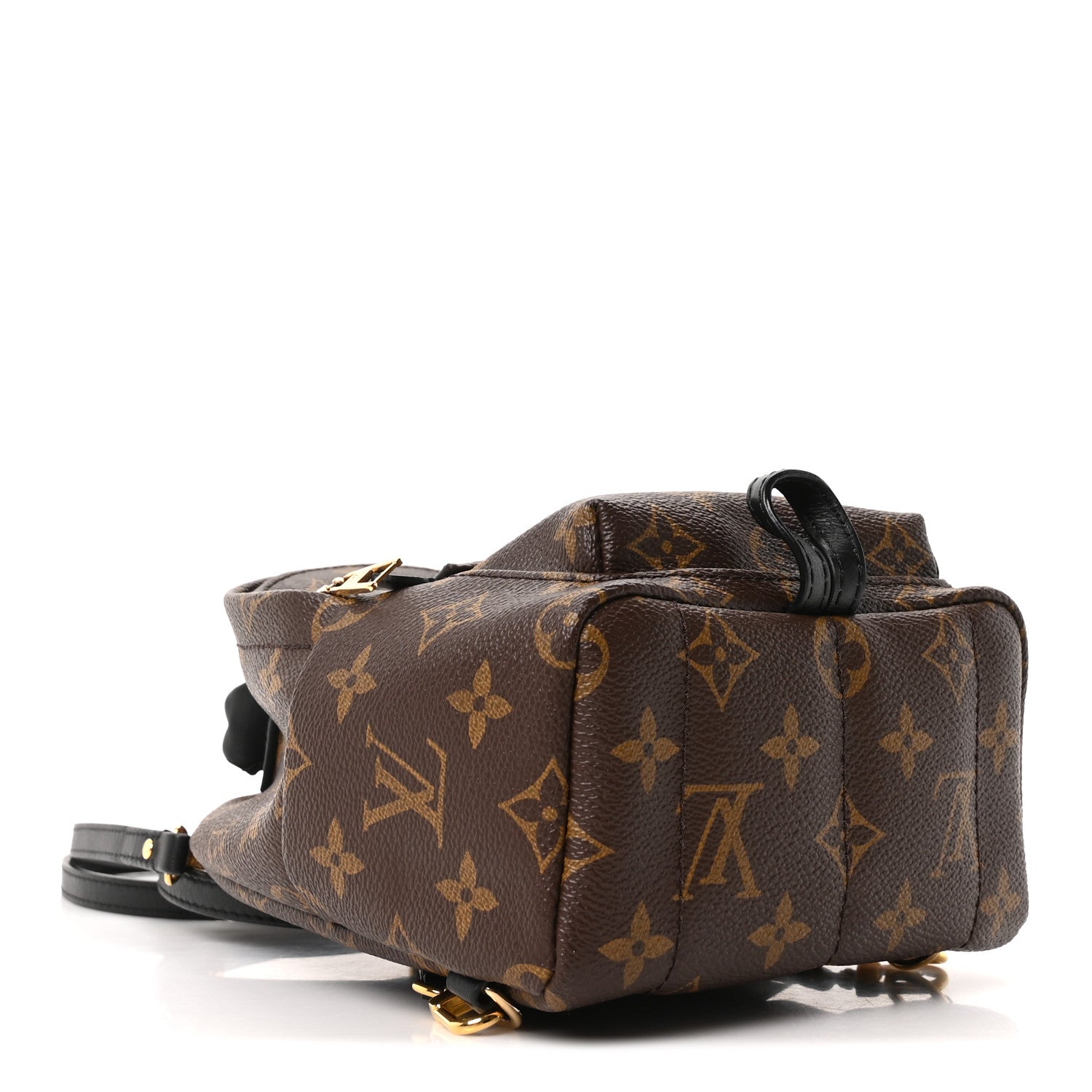 Louis Vuitton Monogram Palm Springs Backpack Mini