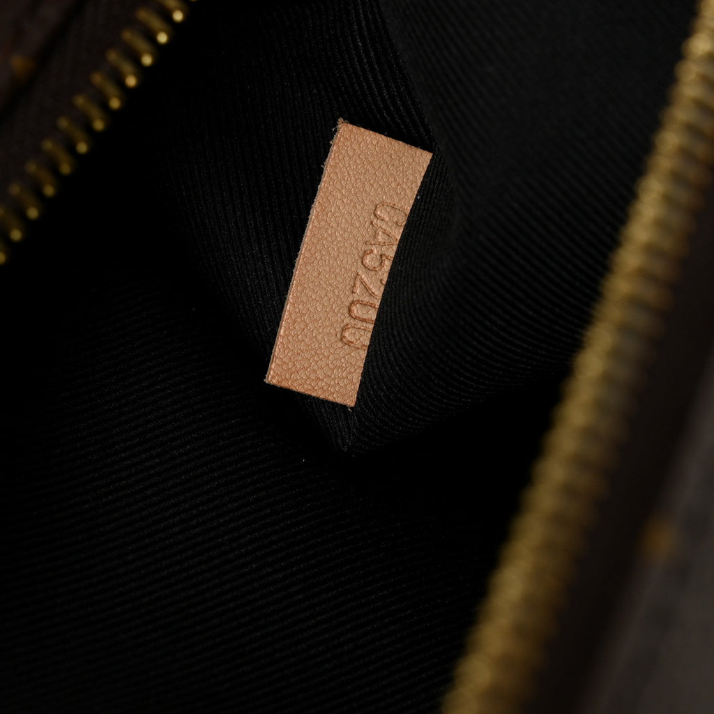 Louis Vuitton Monogram Bumbag