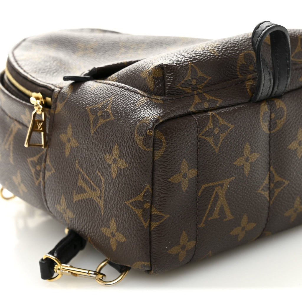 Louis Vuitton Monogram Palm Springs Backpack Mini