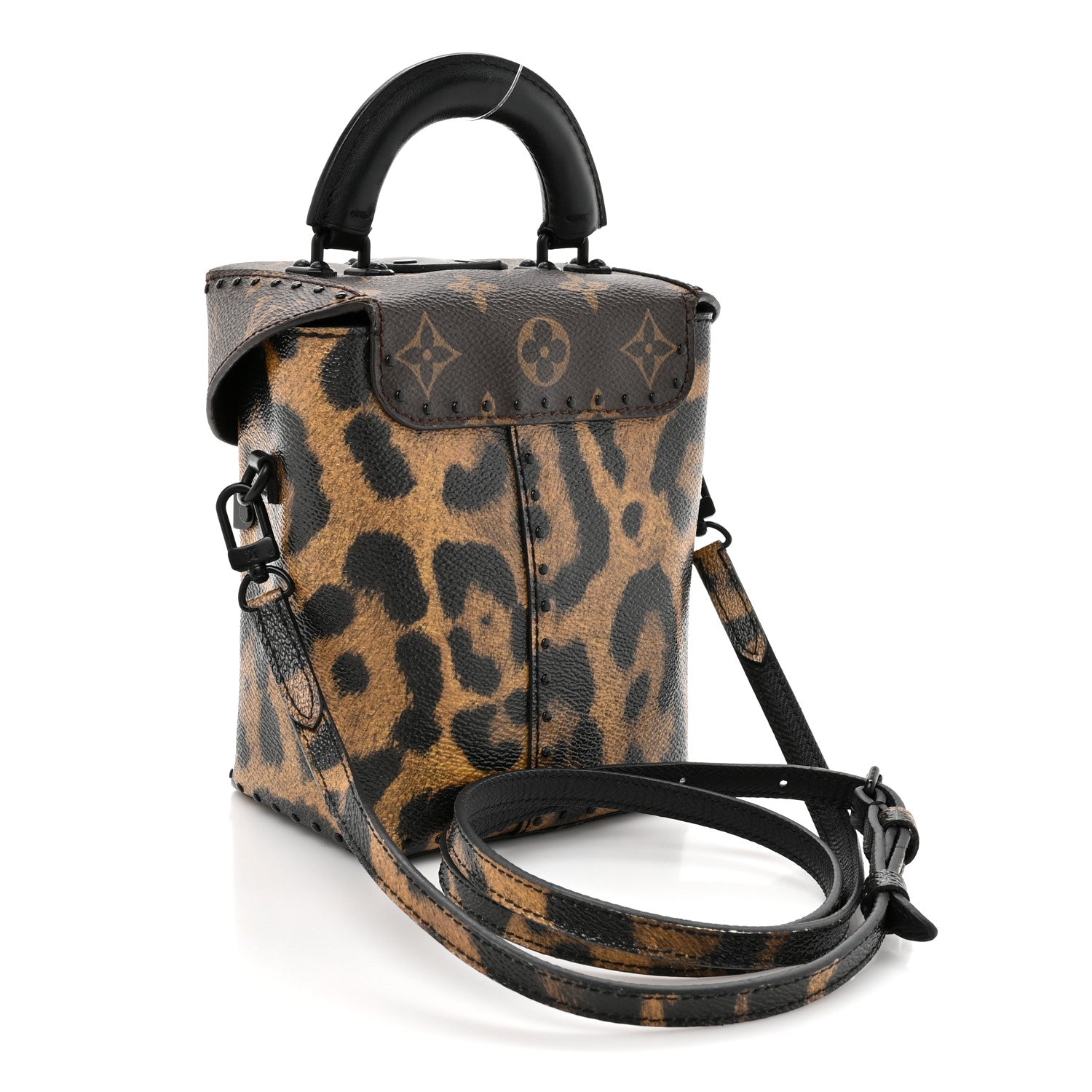 Louis Vuitton Monogram Leopard Camera Box