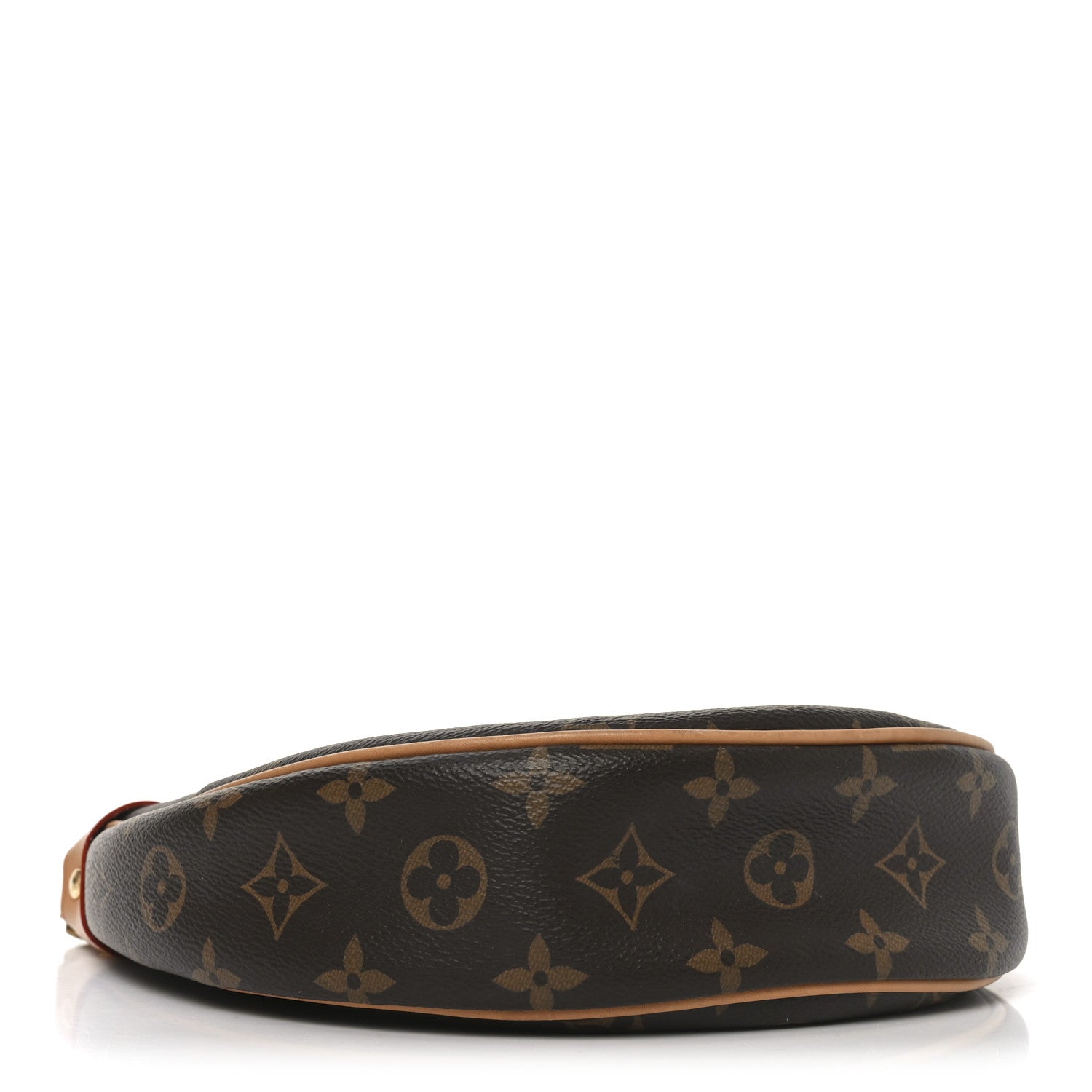 Louis Vuitton Monogram Loop