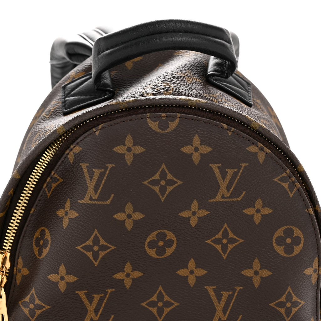 Louis Vuitton Monogram Palm Springs Backpack PM