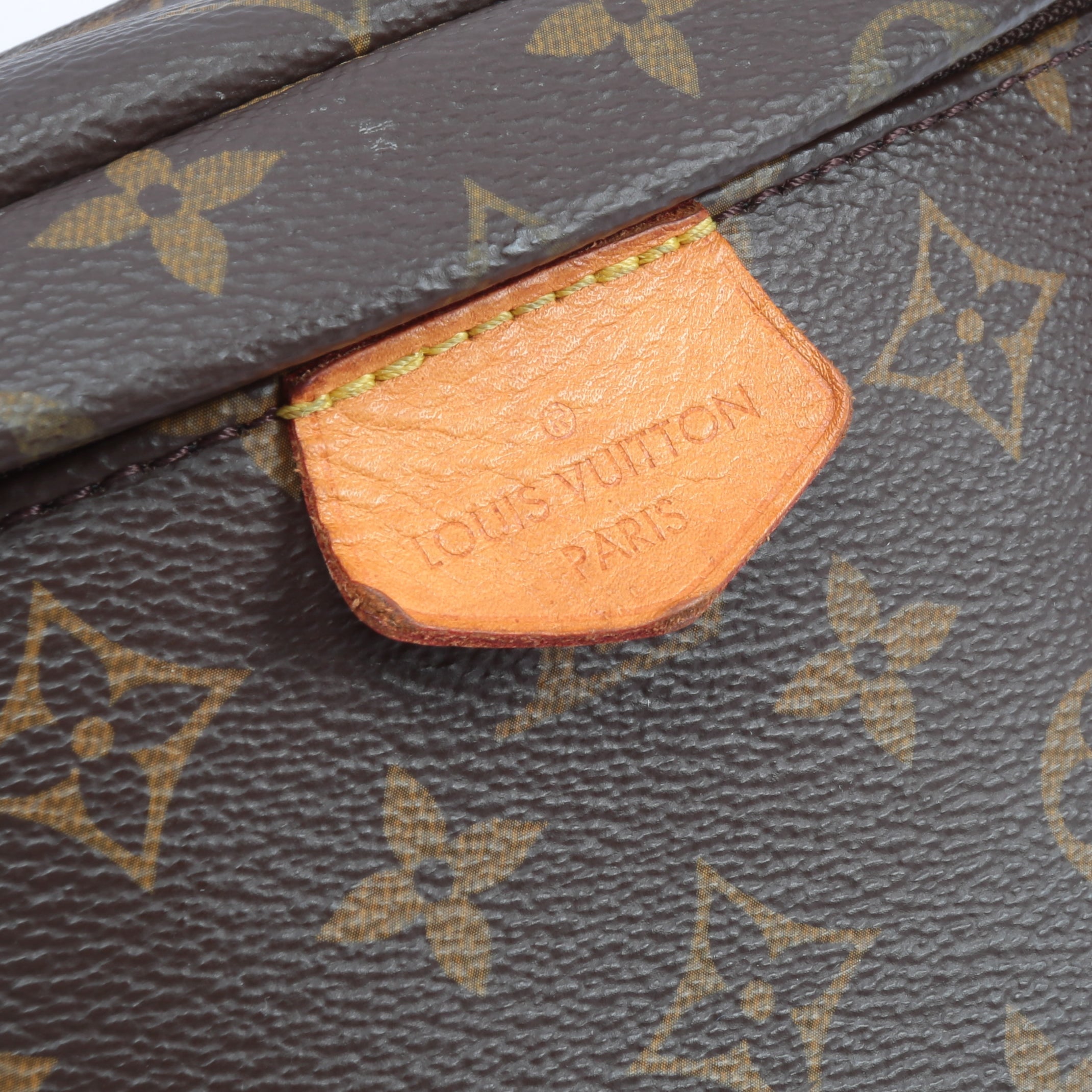 LOUIS VUITTON Monogram Bum Bag