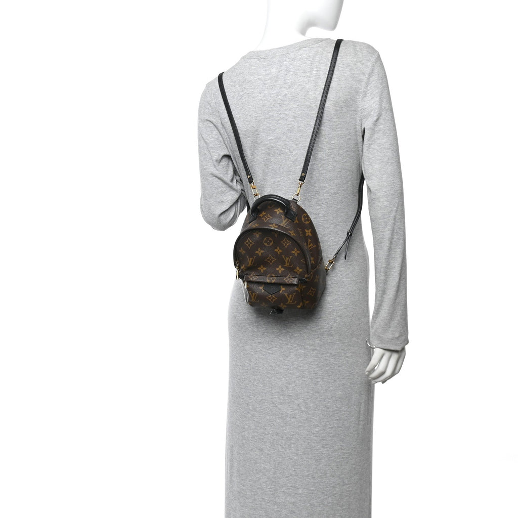 Louis Vuitton Monogram Palm Springs Backpack Mini