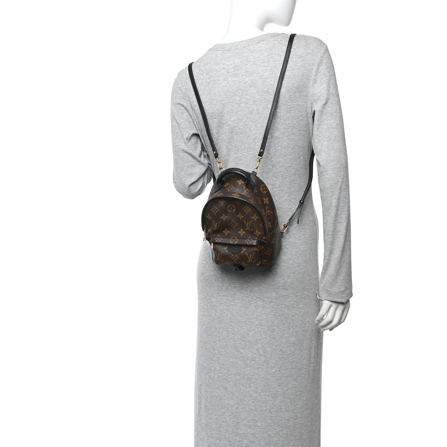 Louis Vuitton Monogram Palm Springs Backpack Mini