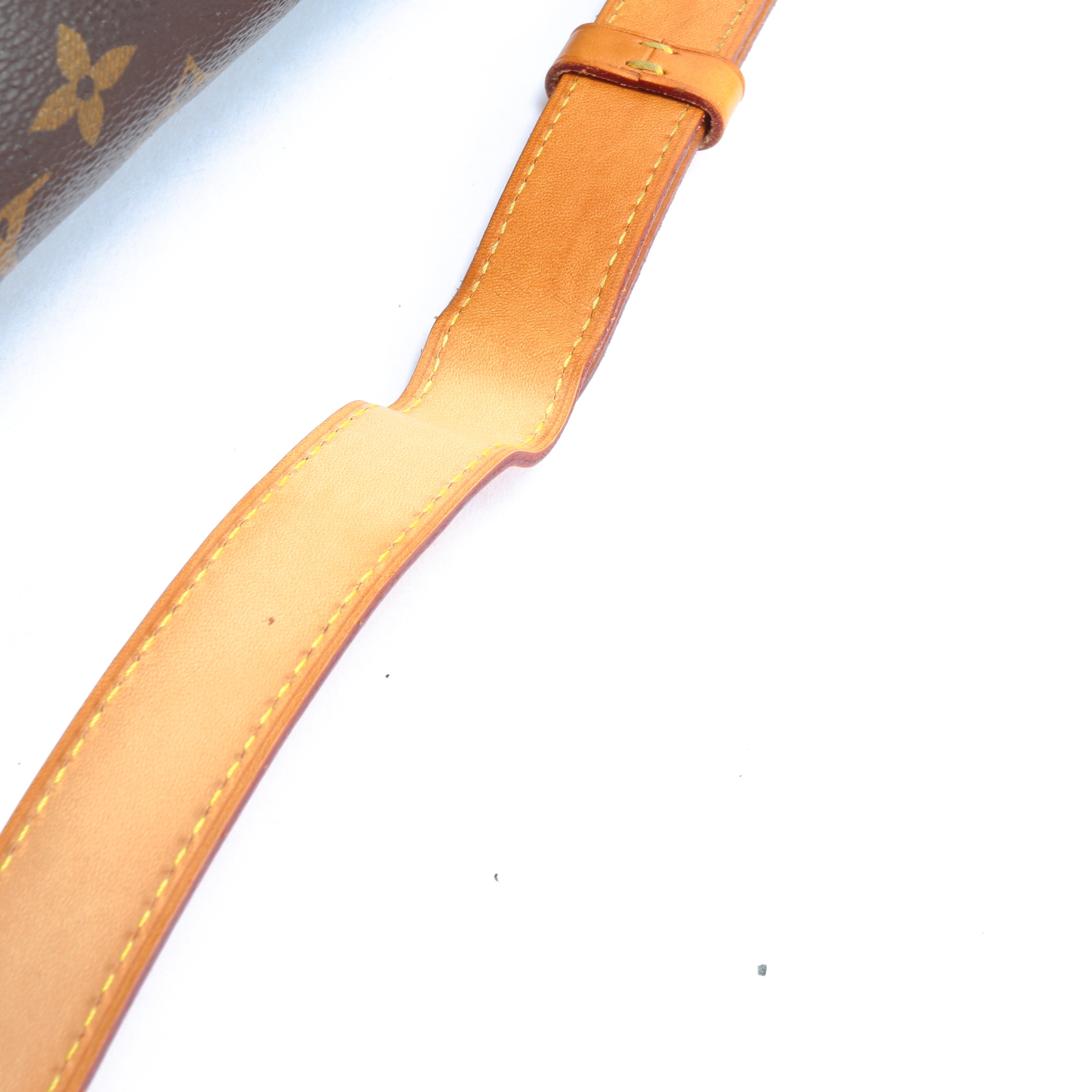 LOUIS VUITTON Monogram Bum Bag