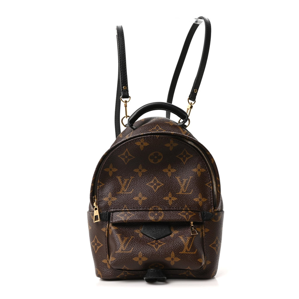 Louis Vuitton Monogram Palm Springs Backpack Mini