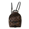 Louis Vuitton Monogram Palm Springs Backpack Mini
