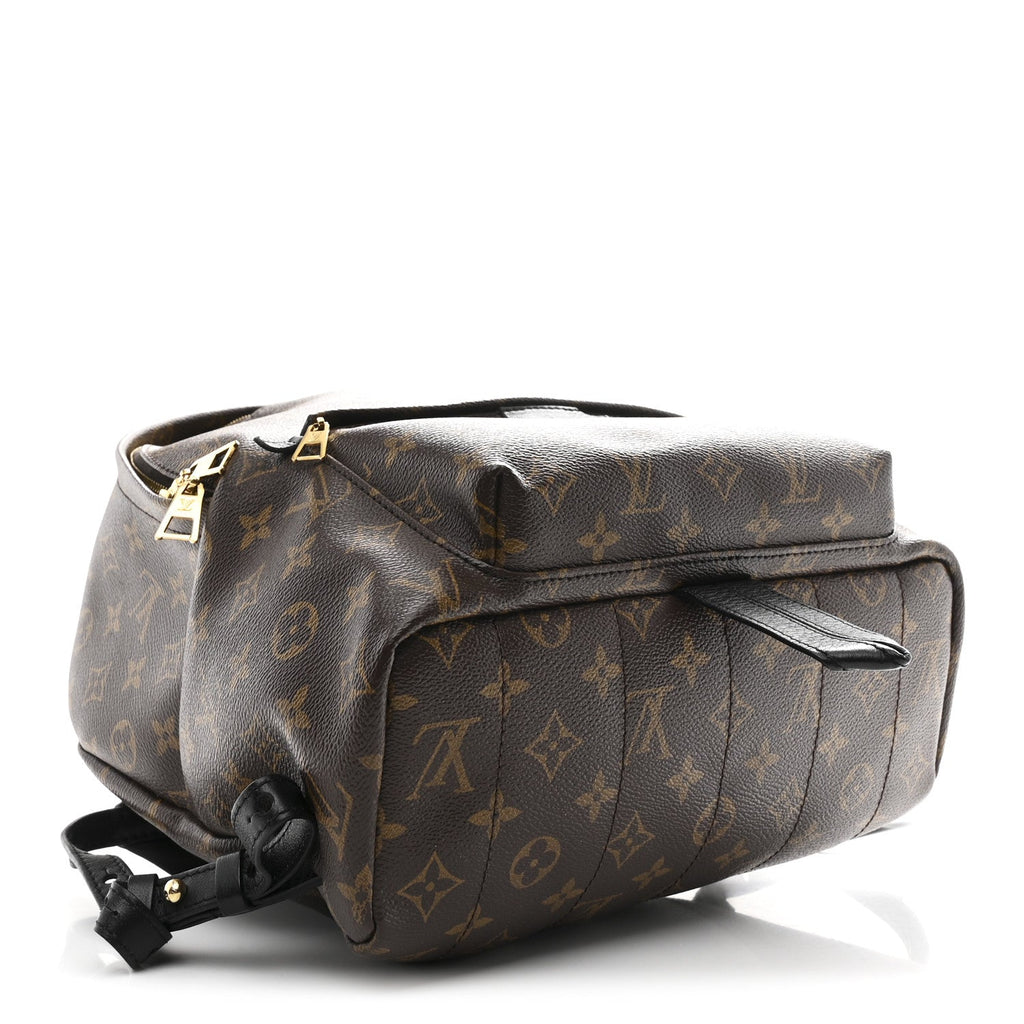 Louis Vuitton Monogram Palm Springs Backpack MM