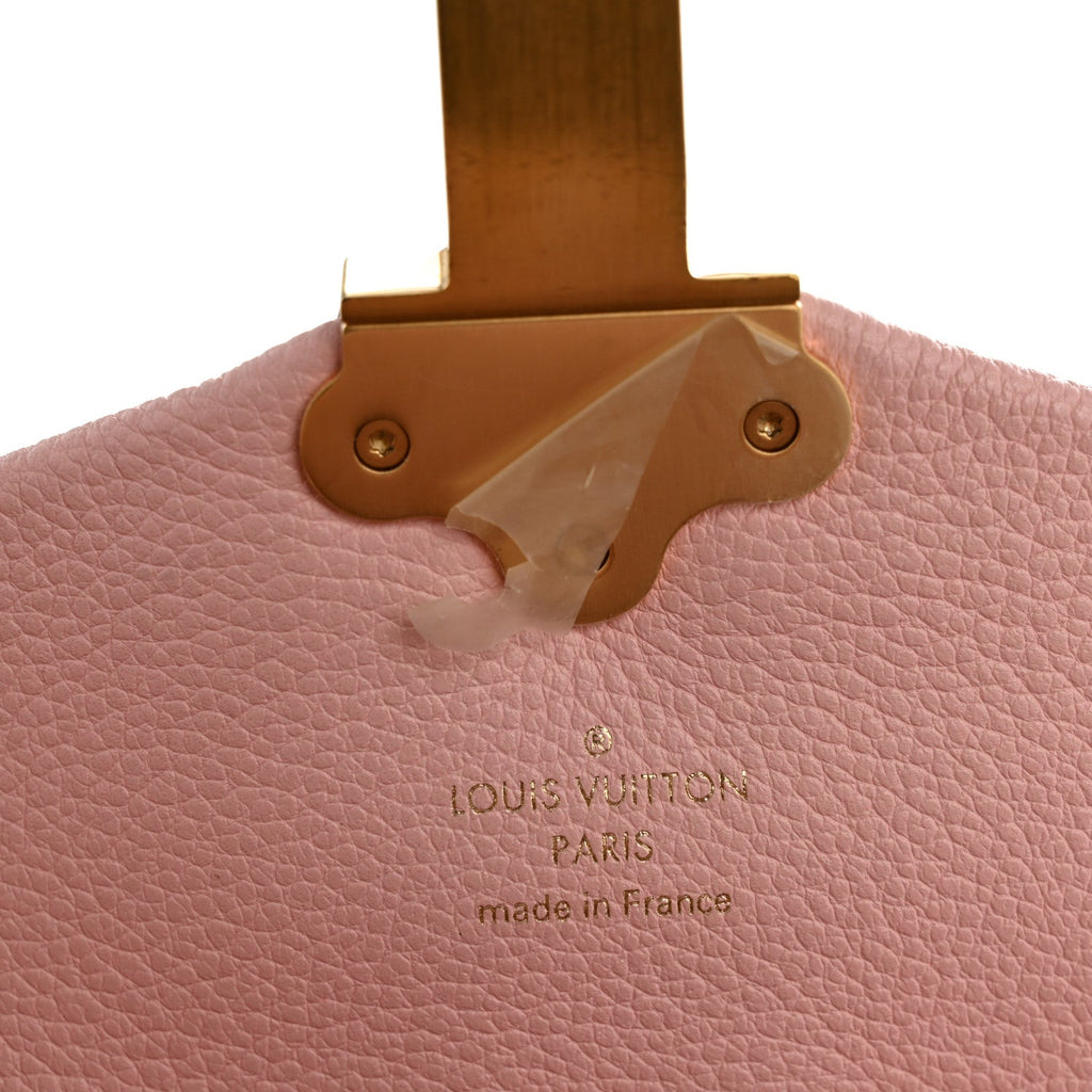 Louis Vuitton Damier Ebene Clapton Backpack Magnolia