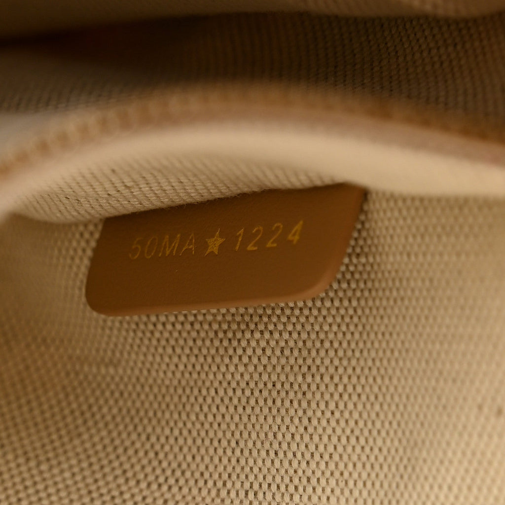 Christian Dior Canvas Calfskin Embroidered Small Plan De Paris Book Tote With Strap Beige