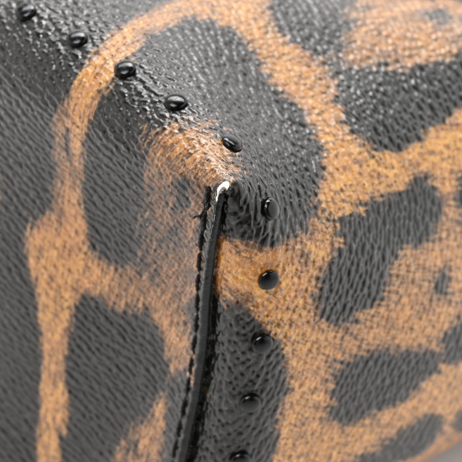 Louis Vuitton Monogram Leopard Camera Box