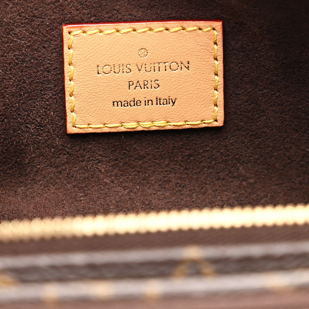 Louis Vuitton Monogram Mini Bumbag