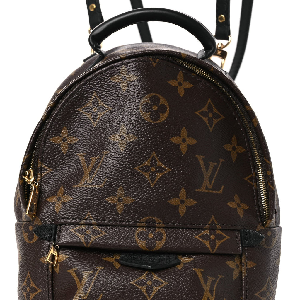Louis Vuitton Monogram Palm Springs Backpack Mini