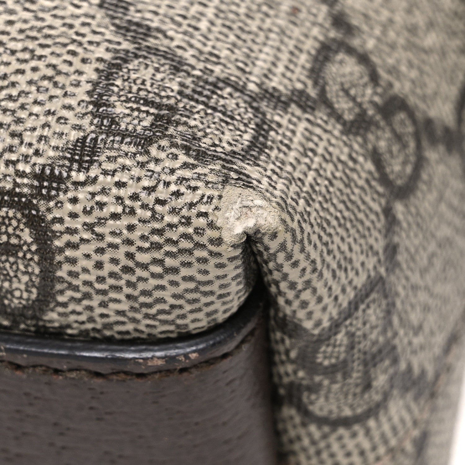 Gucci GG Supreme Monogram Textured Dollar Calfskin Web Small Ophidia Dome Shoulder Bag Beige Ebony New Acero