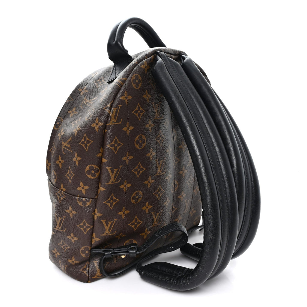Louis Vuitton Monogram Palm Springs Backpack MM