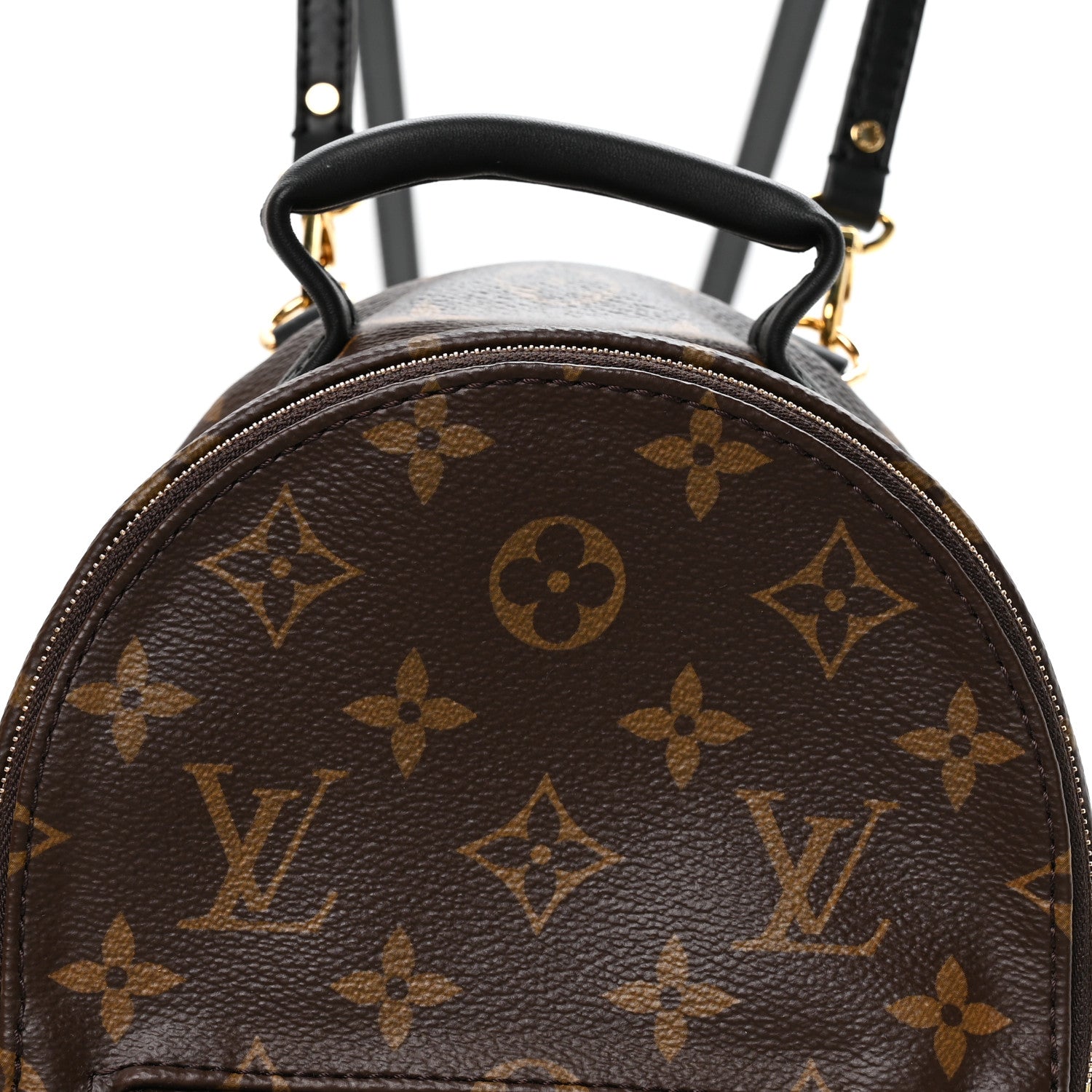Louis Vuitton Monogram Palm Springs Backpack Mini