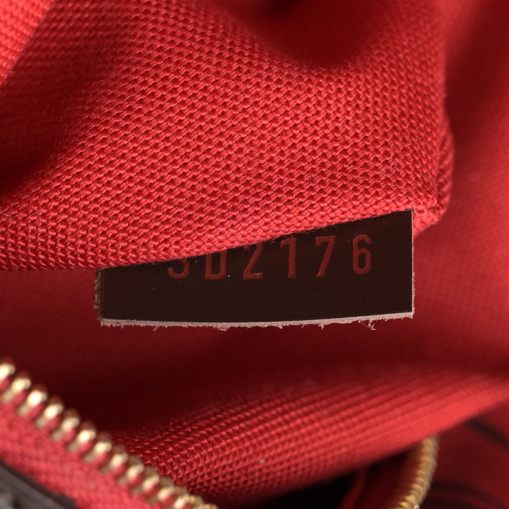 Louis Vuitton Damier Ebene Delightful MM