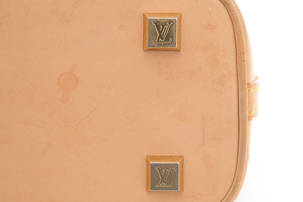 Louis Vuitton 2003 Brown Monogram Ambre Tote